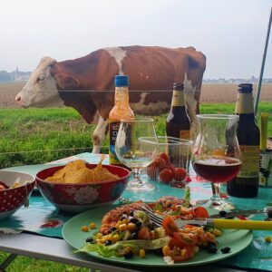 Lage Zwaluwe, loeigezellige uitvalsbasis voor de Biesbosch