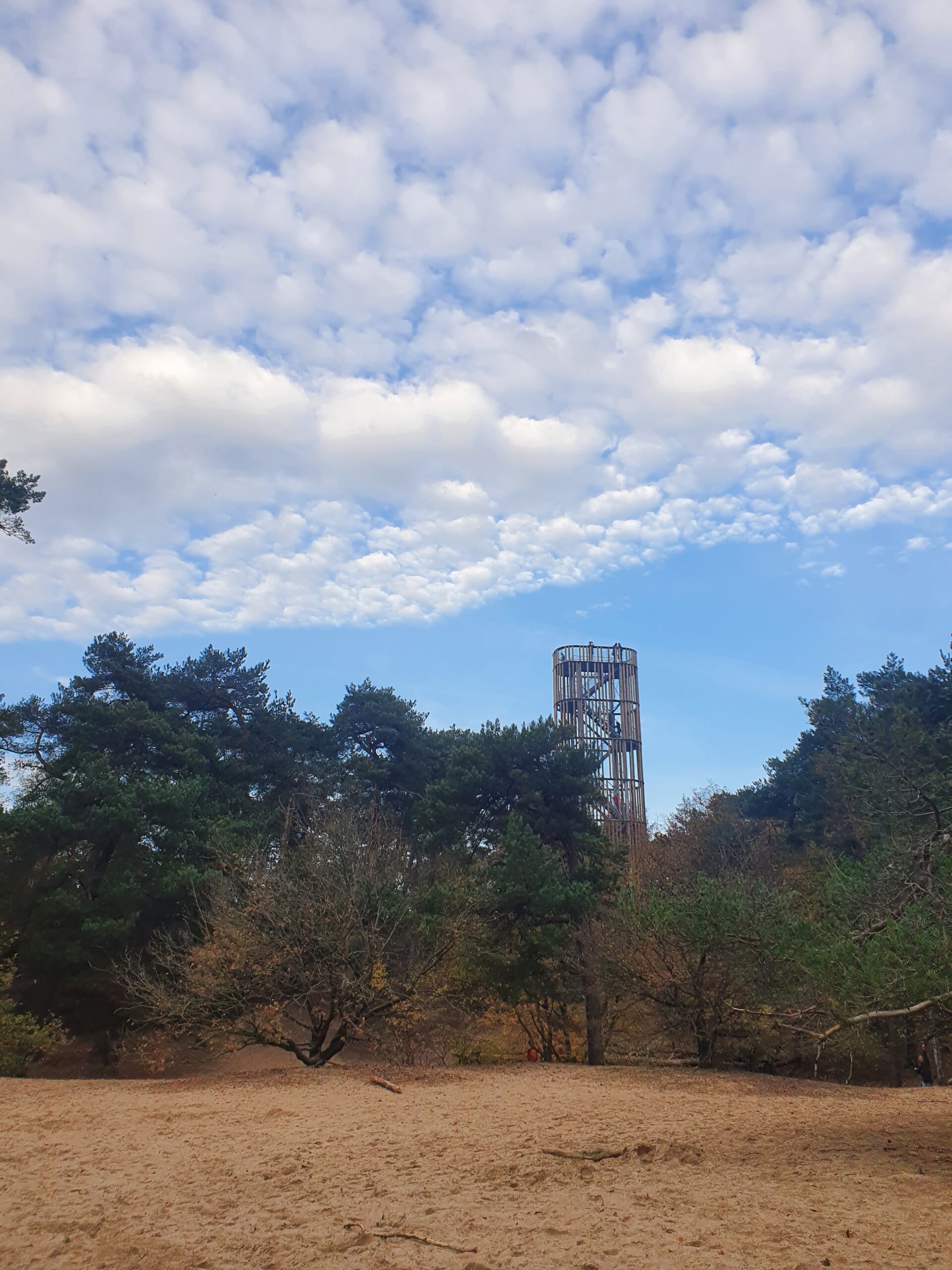 Herperduin – De Maashorst