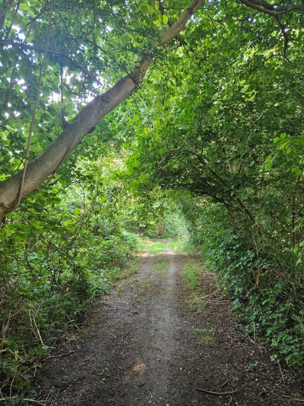 Bloemdijkenroute (7)