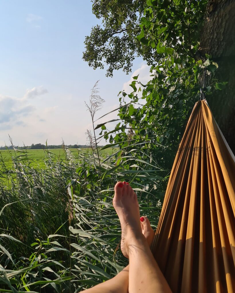 Camping de Frije Fries