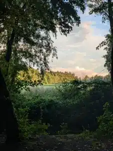 Natuurkampeerterrein Wega