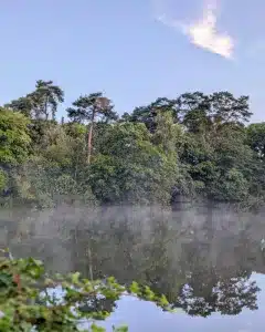 Natuurkampeerterrein Wega