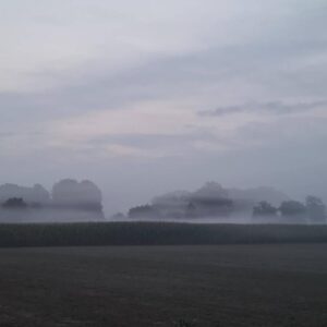 Ochtendmist bij Camping Nessst