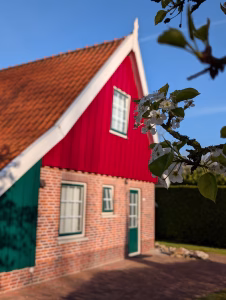 Typisch Achtehoeks huisje met groen en rood met daarvoor tak met bloesem