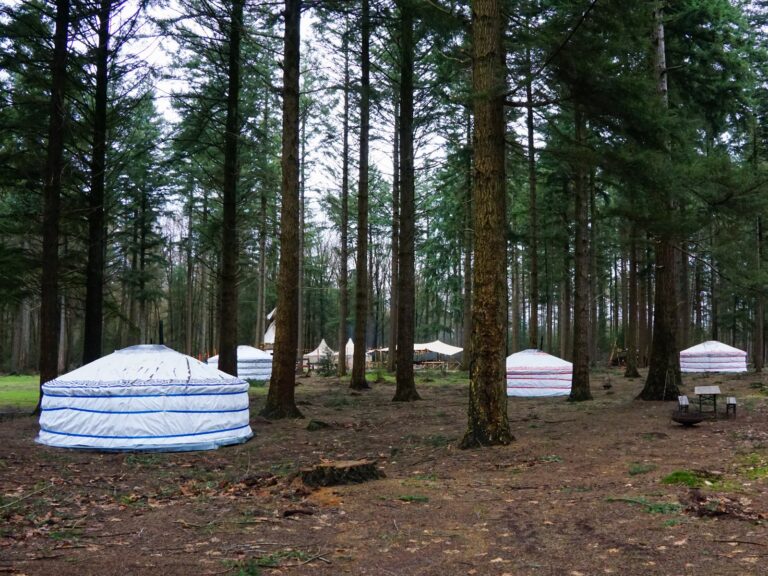 WinterwoodsYurts